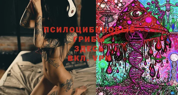 стафф Нея