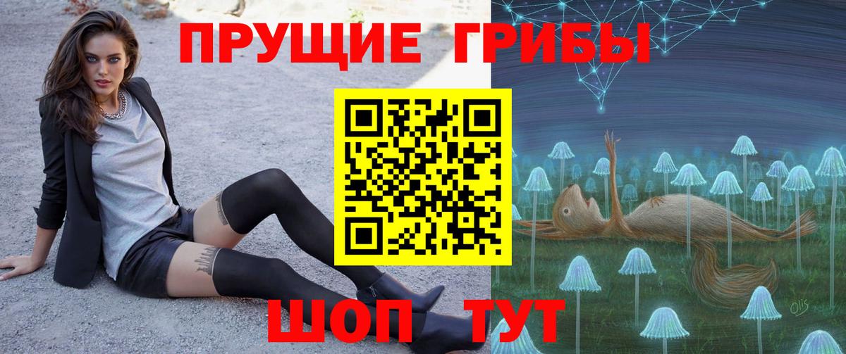 Ипатово  Псилоцибиновые грибы MAGIC MUSHROOMS  Галлюциногенные грибы Cubensis  Вход с VPN 