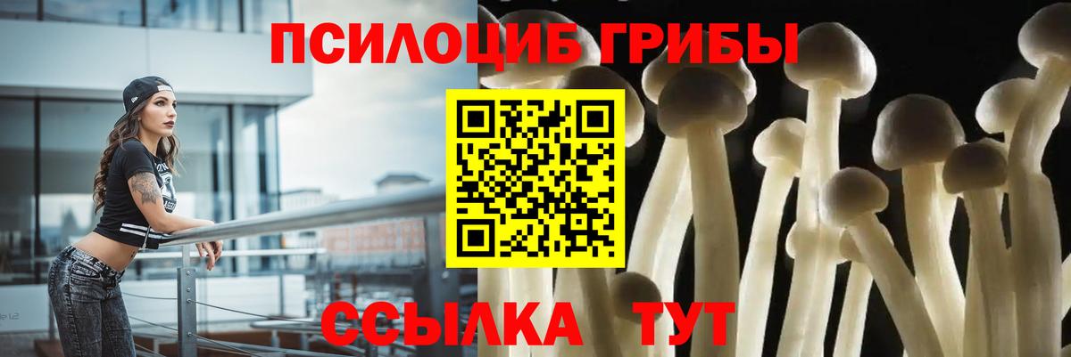 Псилоцибиновые грибы GOLDEN TEACHER  Псилоцибиновые грибы мицелий  Ипатово 